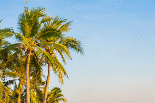 Beautiful tropical palm tree around beach sea ocean at sunset or sunrise