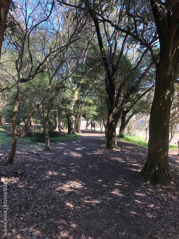 公園散歩 公園散歩