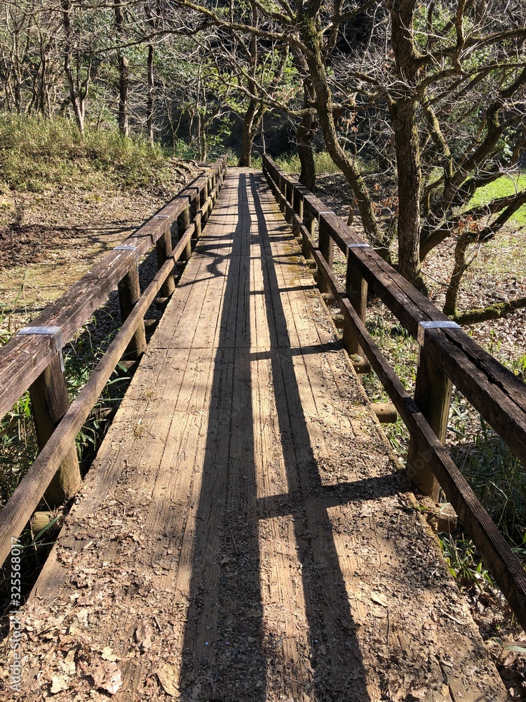 公園散歩 公園散歩