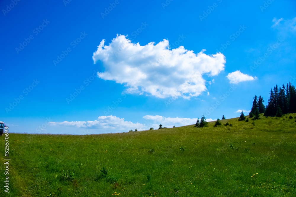 View on the meadow on the Bosnian mountain Vranica
