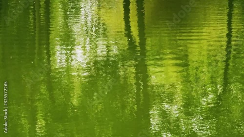 Greenwater in the nature. photo
