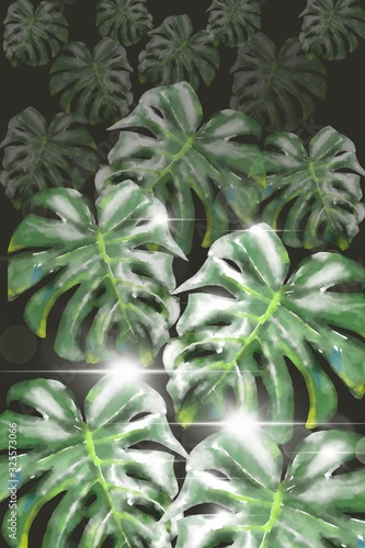 green leaves of monstera. Water color painting on tropical leaf.