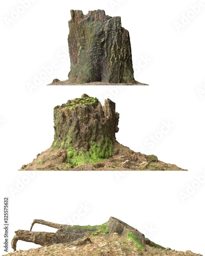 Stump dead tree isolated on white 3d illustration