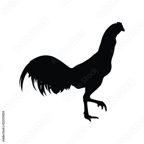 Fighting cock silhouette vector, animal