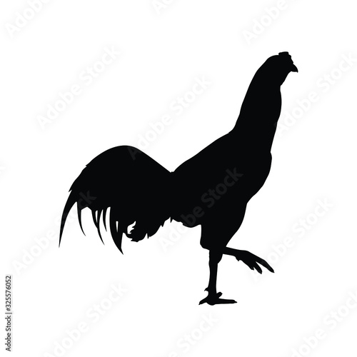 Fighting cock silhouette vector, animal