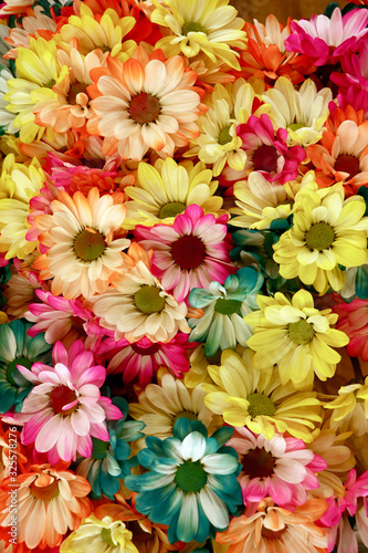 collage of colorful flowers