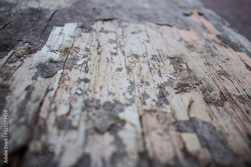 Fondo de madera vieja blanca con textura