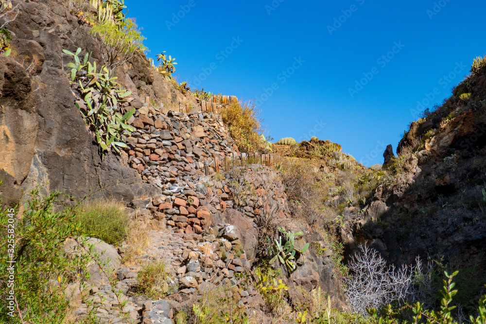 Berglandschaft auf Teneriffa im Sommer