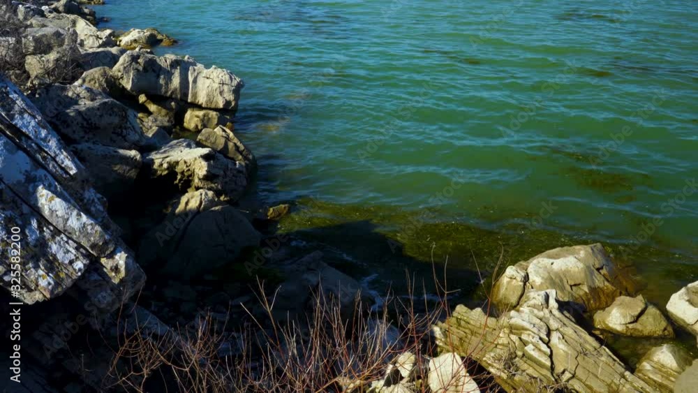 Green lake water with algae and floating herbs washing rocky coastline with big cliffs on a sunny winter day Green lake water with algae and floating herbs washing rocky coastline with big cliffs on a sunny winter day