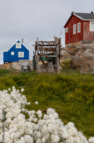 Ilimanaq settlement, Western Greenland formerly known as Claushavn photo