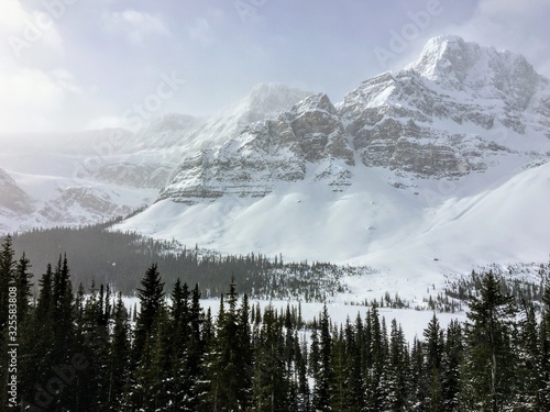 Fototapeta Naklejka Na Ścianę i Meble -  An incredible view of a dark green forest in the foreground and snow covered mountains peaks in the background, along the icefield parkway in the Rocky Mountains, Alberta, Canada