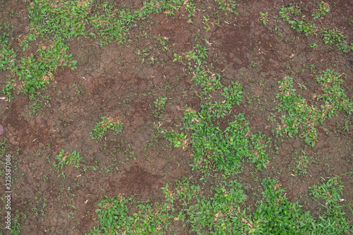 Natural Soil and Grass Background