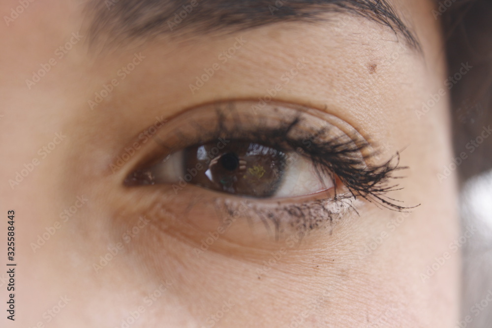 Braunes Auge Braunes Auge