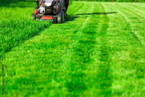 Lawn mower cutting green grass in backyard, mowing lawn photo