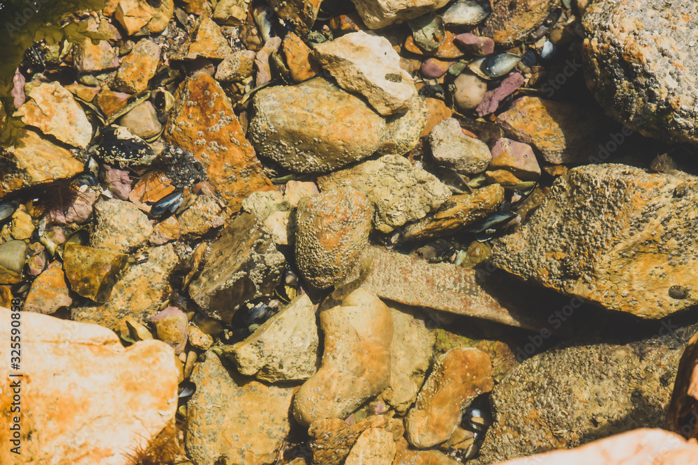 small natural rock pool with tiny fish swimming inside small natural rock pool with tiny fish swimming inside