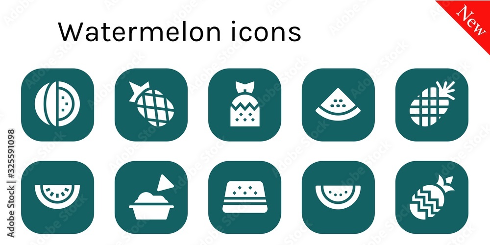 Modern Simple Set of watermelon Vector filled Icons