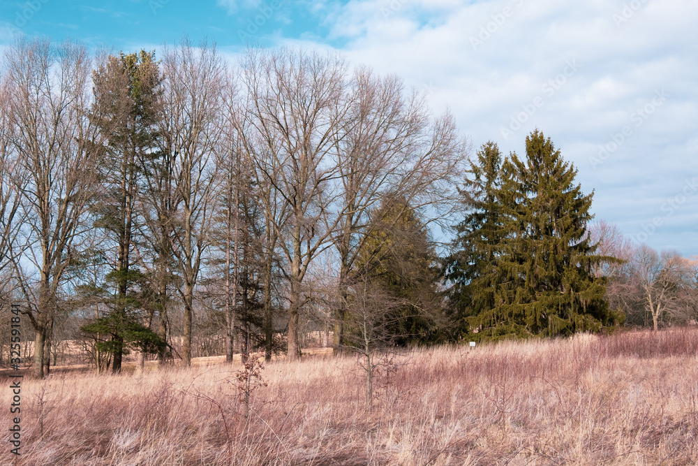 landscape with trees and blue sky landscape with trees and blue sky