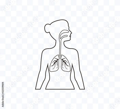 Lungs woman body silhouette. Vector illustration, flat design.