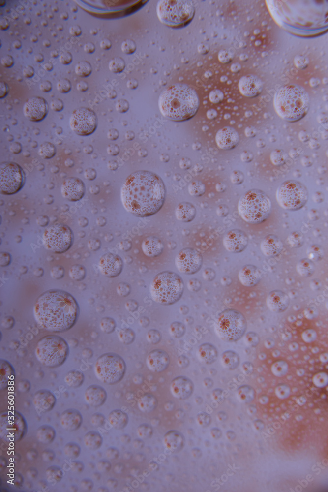Space or planets universe cosmic abstract background. Abstract molecule atom sctructure. Macro shot of air or molecule. Abstract space background. Biology, phycics or chymistry abstract background Space or planets universe cosmic abstract background. Abstract molecule atom sctructure. Macro shot of air or molecule. Abstract space background. Biology, phycics or chymistry abstract background