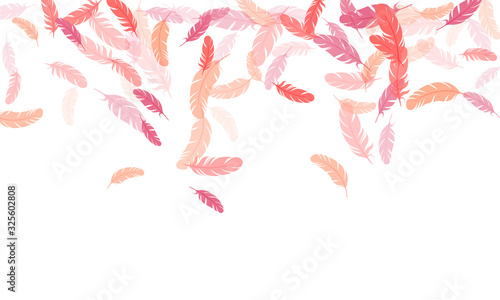 Detailed majestic feather on white design.