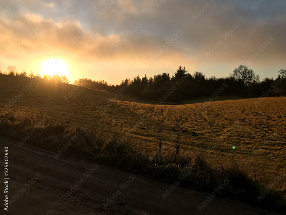 Obraz premium Beautiful morning