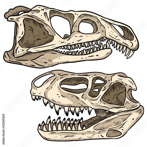 Carnivore dinosars skulls line hand drawn sketch image set. Archosaurus rossicus and Prestosuchus chiniquensi carnivorous dinosaur fossils illustration drawing