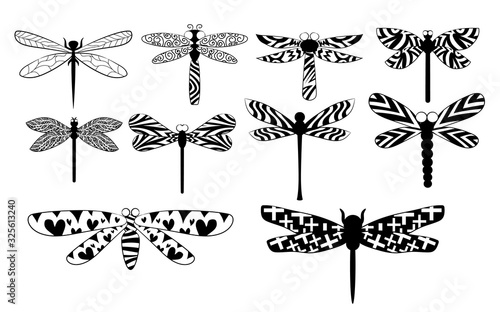 dragonfly vector set collection graphic clipart design
