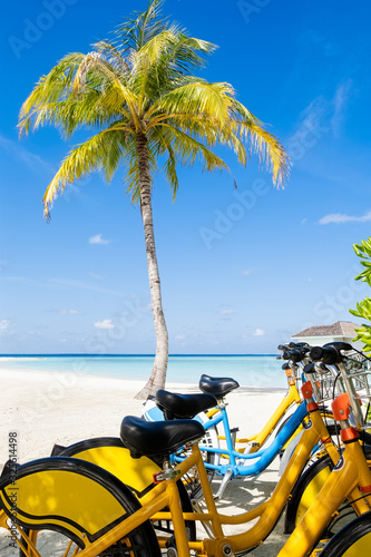 Group of  Bicycles  on the tropical sandy beach by a palm tree with sky and calm sea at background  vertical composition