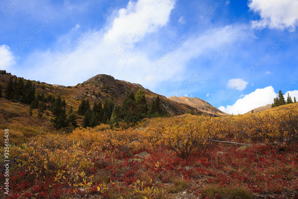 Independence Pass Fall Color