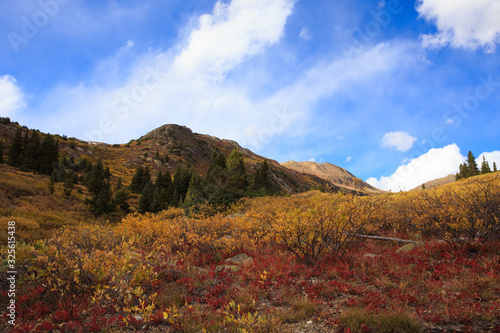 Independence Pass Fall Color