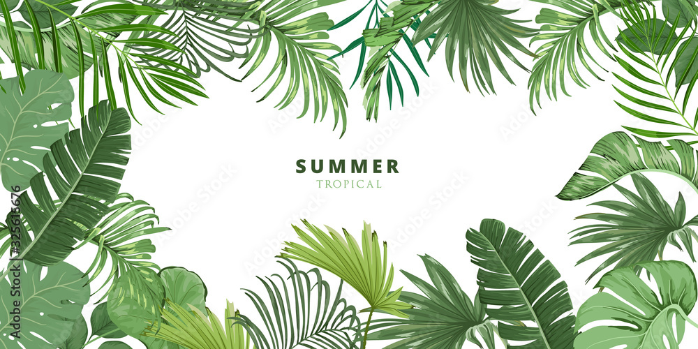 summer tropical leaf frame, Tropical palm leaves background wallpaper, tropical leaves isolated on white background. Illustration for design wedding invitations, greeting cards, postcards.