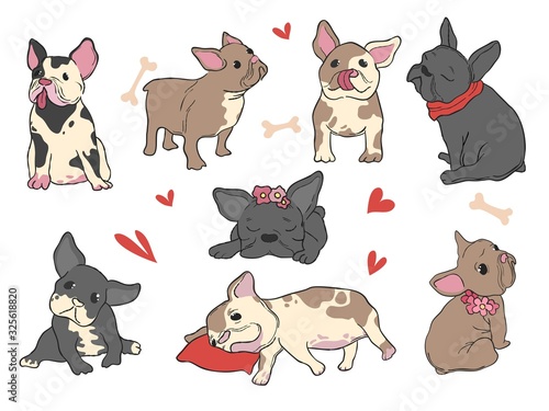 French bulldog. Funny pet puppy in different pose happy doggie hug fashion glamour vector style set. Animal french bulldog, puppy domestic character illustration