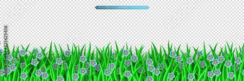 Green grass and blue flowers seamless border isolated on transparent background