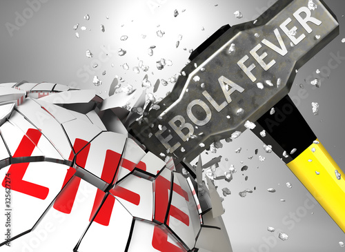 Ebola fever and destruction of health and life - symbolized by word Ebola fever and a hammer to show negative aspect of Ebola fever  3d illustration