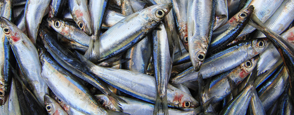 Obraz premium fish in the market