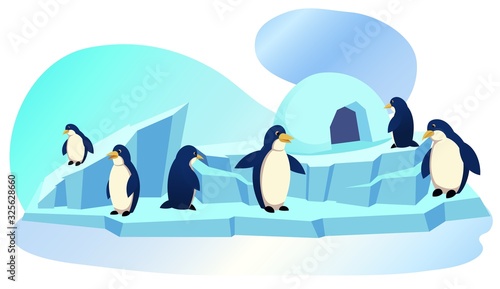 Group of Funny Penguins Stand on Ice Floe with Icehouse, Waterfowl Aquatic Flightless Birds, Highly Adapted for Life in Water, Dark and White Plumage, Animal Park, Zoo Cartoon Flat Vector Illustration