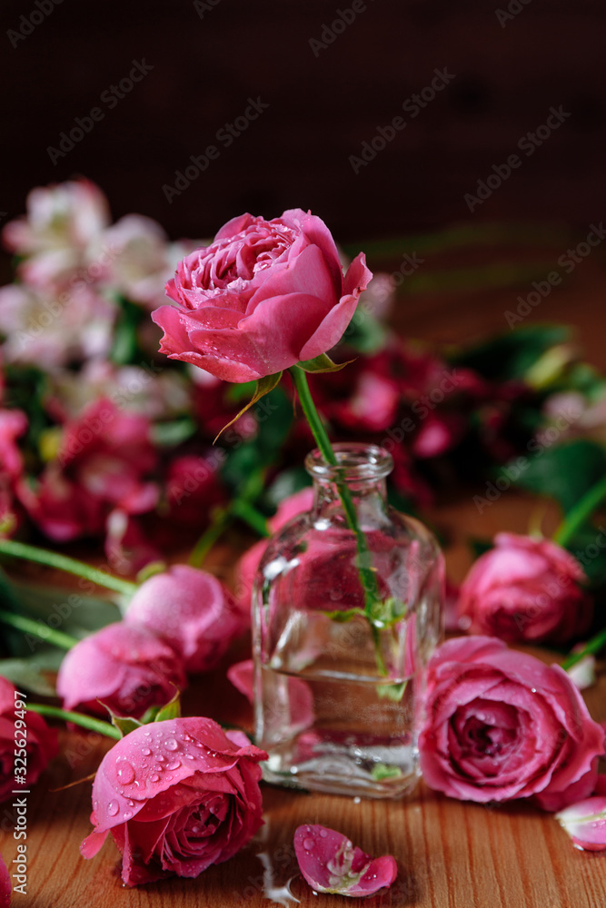 One pink rose flower with stem in glass vase. Roses with leaves at the wooden table and dark black background. Still life One pink rose flower with stem in glass vase. Roses with leaves at the wooden table and dark black background. Still life