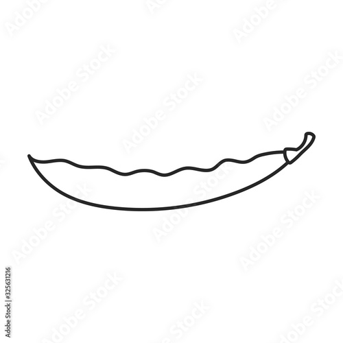 Bean of pod vector icon.Outline vector icon isolated on white background bean of pod.