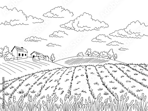 Field graphic black white landscape sketch illustration vector