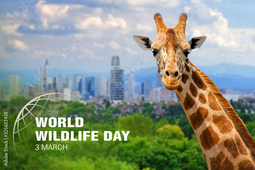 World Wildlife Day. Text on giraffe background