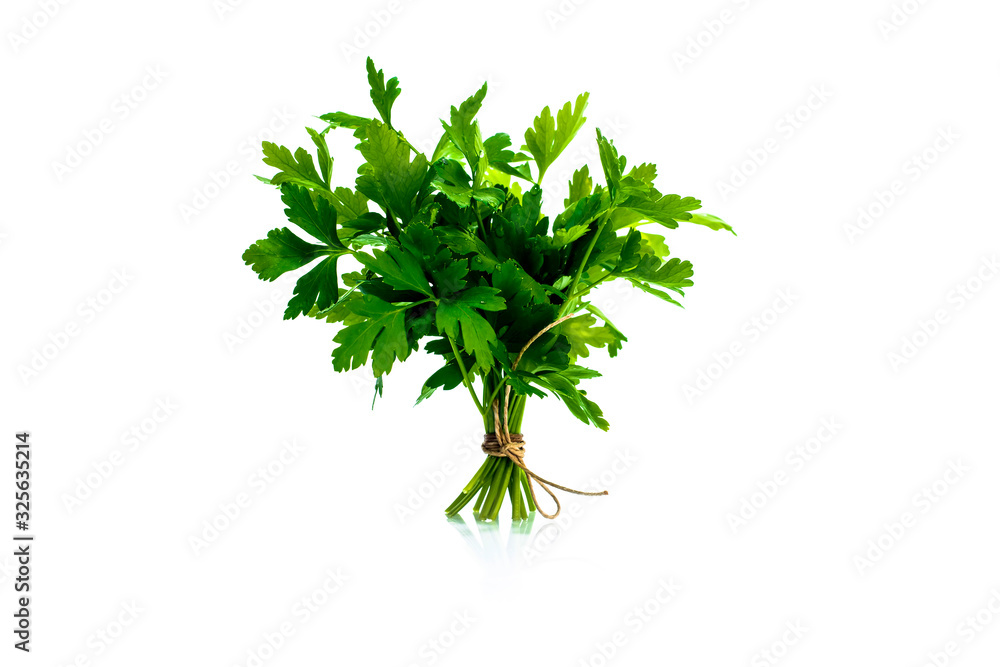 Fresh parsley sprig tied with twine, isolated. Fresh parsley sprig tied with twine, isolated.