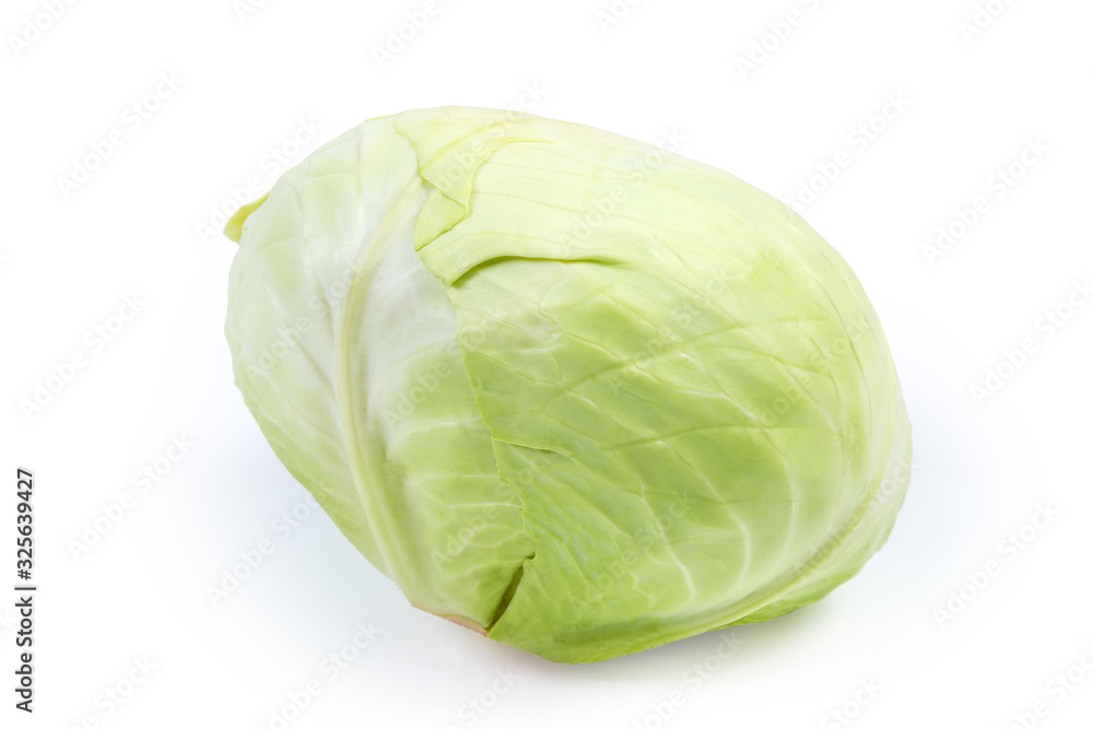 Head of the late white cabbage on a white background Head of the late white cabbage on a white background
