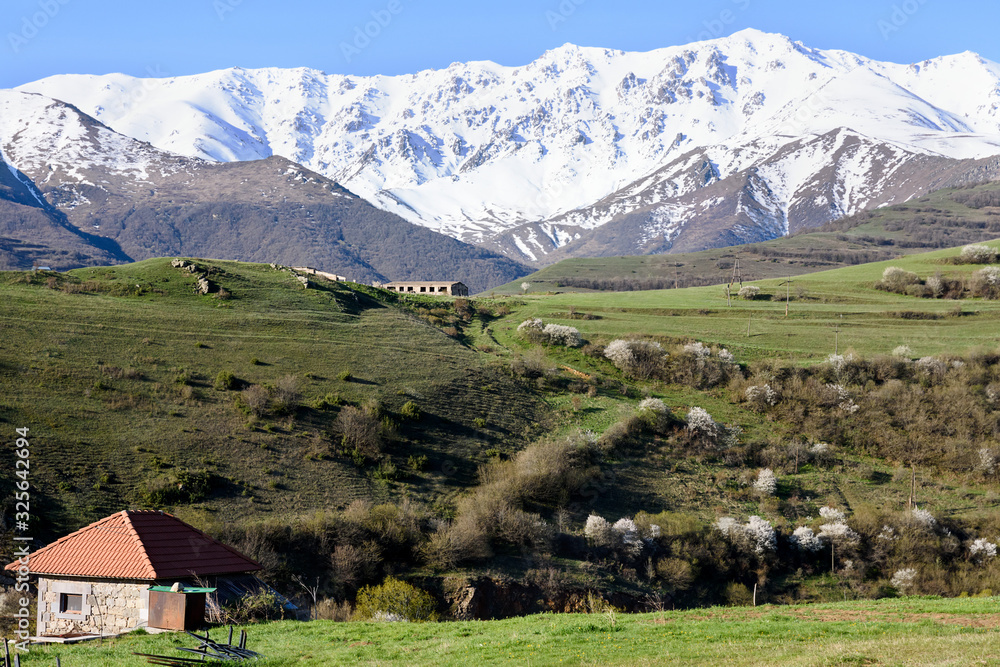Obraz premium Blossom trees, snow-capped mountains and small house with red tile roof