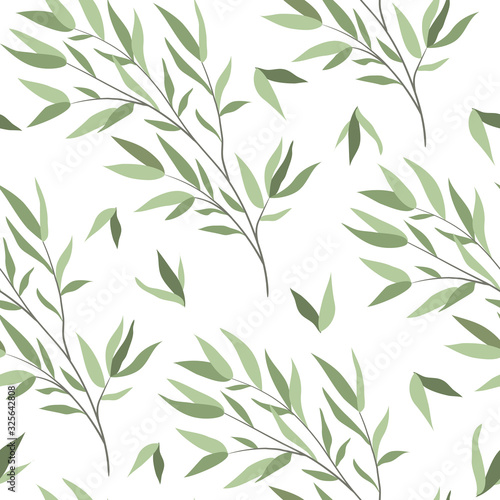 Seamless pattern with branches of a willow on a white background. Vector illustration