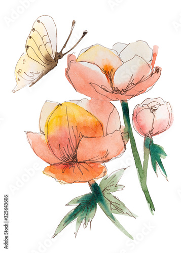 Butterfly flutters over yellow flowers, watercolor handmade, grayik pen