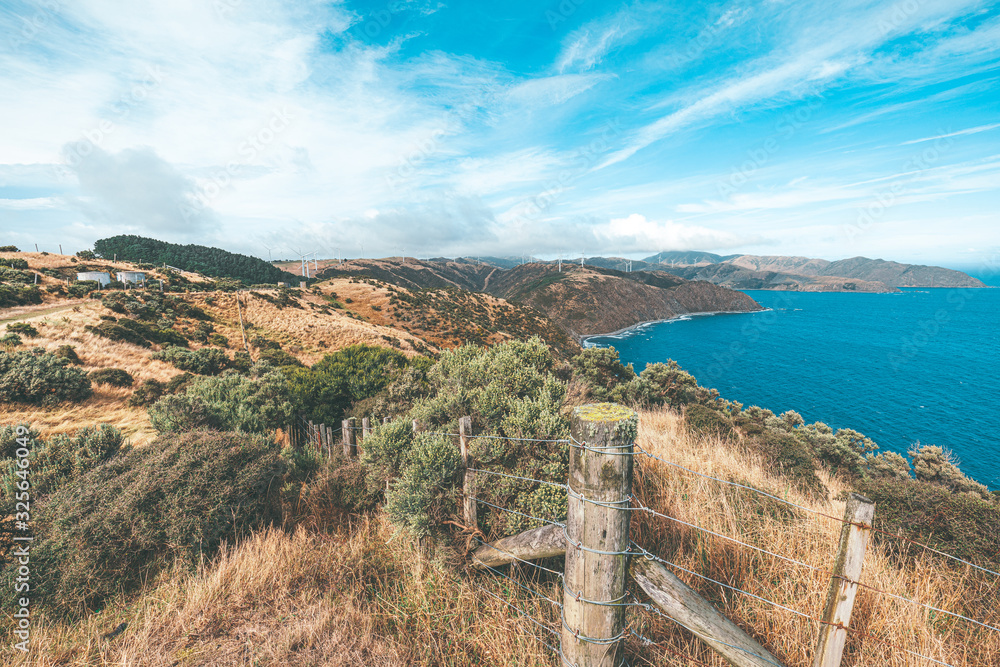 Landscape of Makara Beach in Wellington, New Zealand 