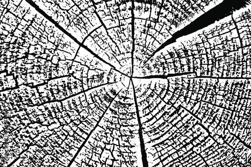 Natural monochrome texture of the cross section of a dry log. The top of the stump with annual rings and radial cracks, close-up. Overlay template. Vector illustration