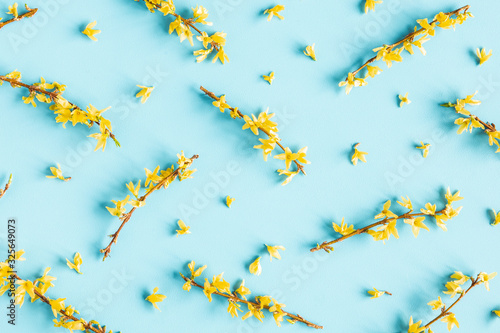 Flowers composition. Yellow flowers on blue background. Spring concept. Flat lay, top view