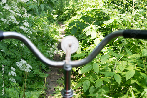 Old vintage bicycle in summer wild forest with tall grass photo