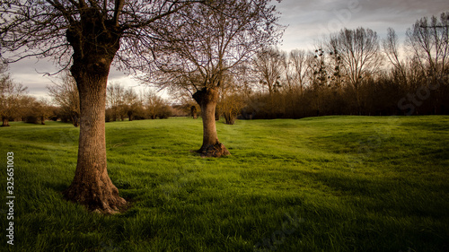 bocage anjou france